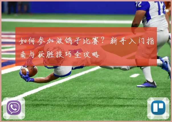 如何参加放鸽子比赛？新手入门指南与获胜技巧全攻略