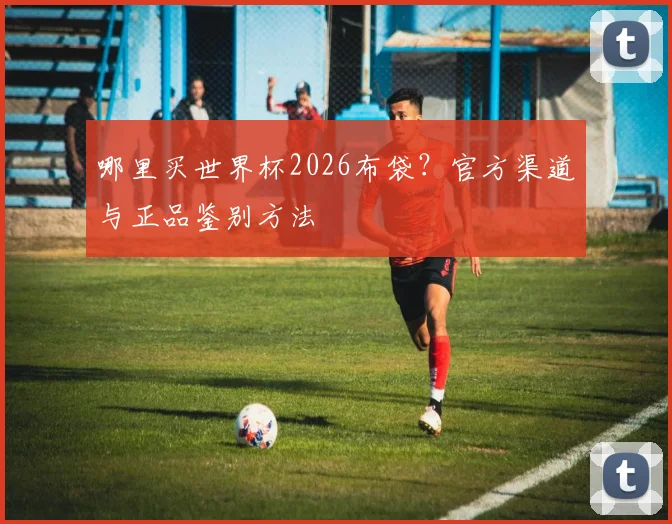 哪里买世界杯2026布袋？官方渠道与正品鉴别方法